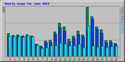 Hourly usage for June 2024