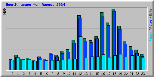 Hourly usage for August 2024