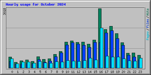 Hourly usage for October 2024